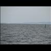 IMG_6544
3/21/2007 1:48:38 PM